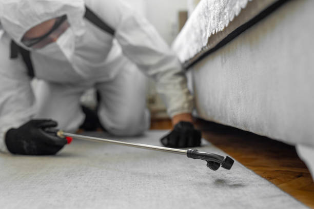Professional Ant Control technician working in Central, LA