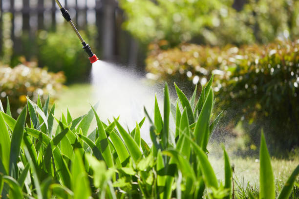 24/7 Emergency Ant Control experts in Central, LA