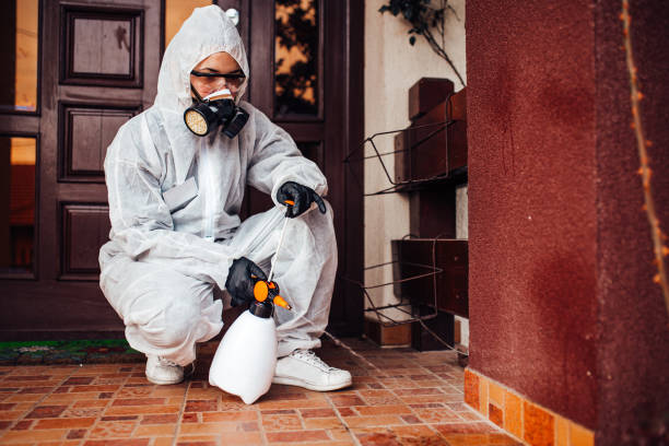 Reliable Ant Control contractor in Central, LA by Show Me Pest Control