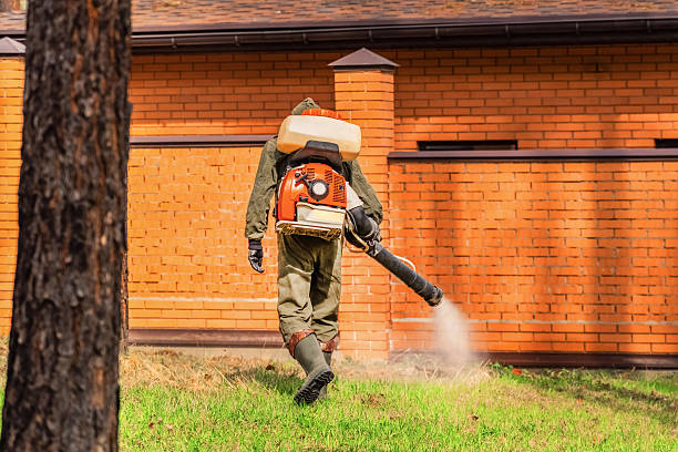Top rated local Ant Control specialists in Central, LA